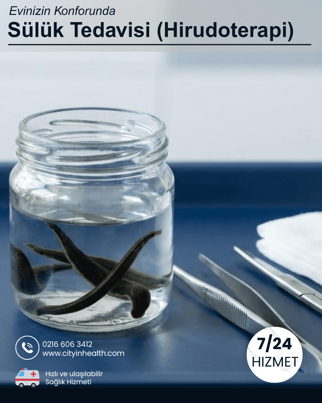 Sülük Tedavisi (Hirudoterapi)